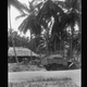 Illustration for article titled Coconut